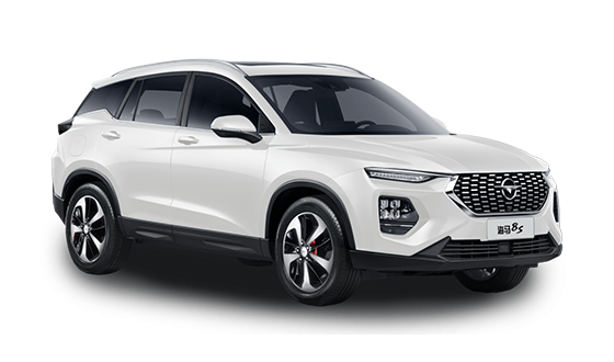 Haima 8S